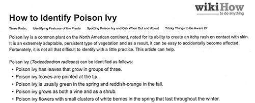 Poison Ivy Safety Tips