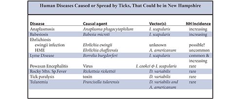 NH Tick Information