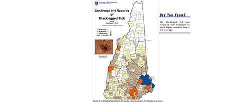 NH Tick Information