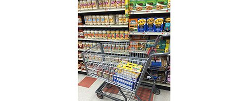 NH Food Bank 2016 Canstruction Competition